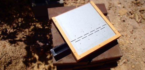 'Beetletra' hive board